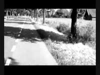 pochette album Red tape