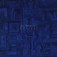 pochette album Shrink