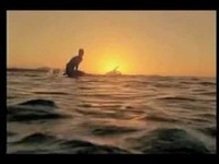 pochette album Surf city