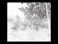 pochette album Remember