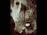 pochette album Lights out