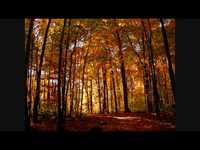 pochette album Way she smiles