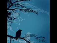 pochette album High life