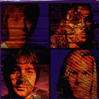 pochette album As tears fall