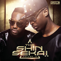 pochette album Mes torts