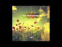 pochette album Everything for nothing