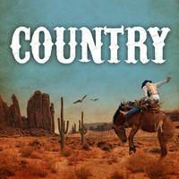 pochette album Take me home country roads