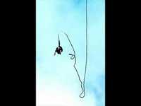 pochette album Free fallin