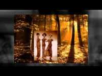 pochette album Some things you never get used to