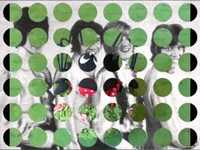 pochette album The spider