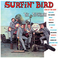 pochette album Surfin' bird