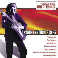 pochette album Wild thing