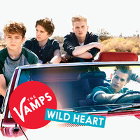 pochette album Wild heart