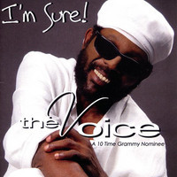 pochette album Never say never