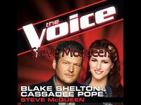 pochette album Steve mcqueen