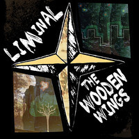 pochette album Sirens