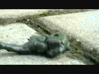 pochette album C. 16th