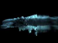 pochette album We want war