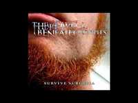 pochette album B comes a