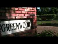 pochette album Fire flies