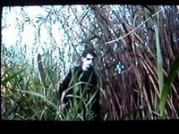 pochette album Vampire