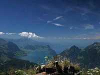 pochette album Angels