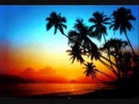 pochette album Come on home