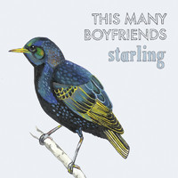 pochette album Starling