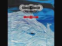 pochette album A rat's nest