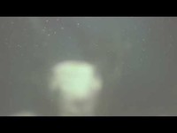 pochette album Interference