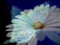 pochette album Seigneur je t'aime