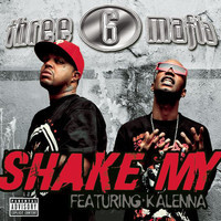 pochette album Shake my