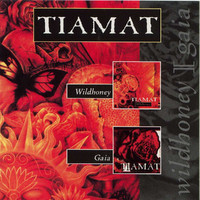 pochette album A pocket size sun