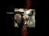 pochette album However you look at it you loose