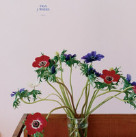 pochette album 3 weeks