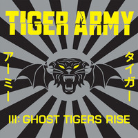 pochette album Ghost tigers rise