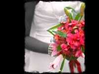 pochette album Djeli