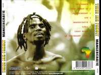 pochette album Le descendant