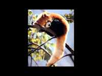 pochette album In bed all day