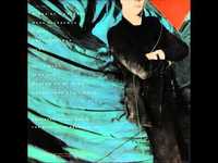 pochette album Wake nicodemus