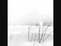 pochette album Kuusikymmentã¤kaksi