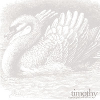 pochette album Cute little song