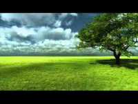 pochette album White lies