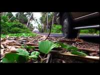 pochette album On fire