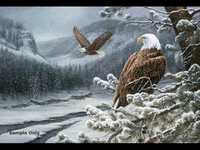 pochette album I'll be home for christmas