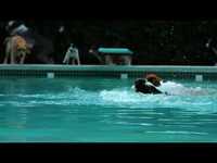 pochette album Wait up