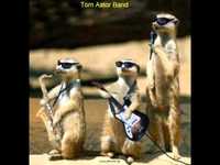 pochette album Fuzzy