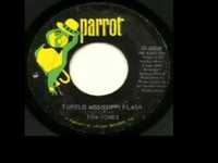 pochette album Tupelo mississippi flash