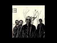 pochette album Rhino skin