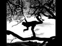 pochette album Los angeles mood